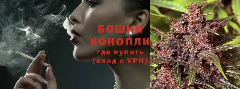 Каннабис OG Kush  Покачи 